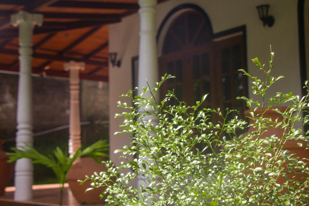 Jungle View Guesthouse Unawatuna Exterior photo